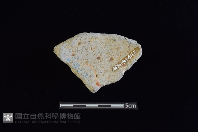 陶片藏品圖，第2張