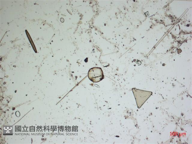登錄號:A00004562藏品圖，第2張