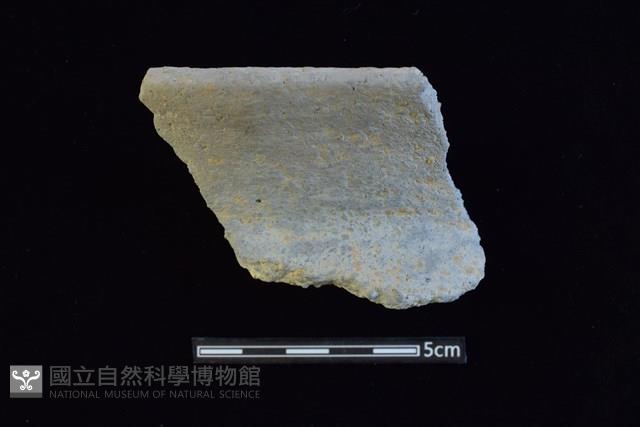 陶罐藏品圖，第1張