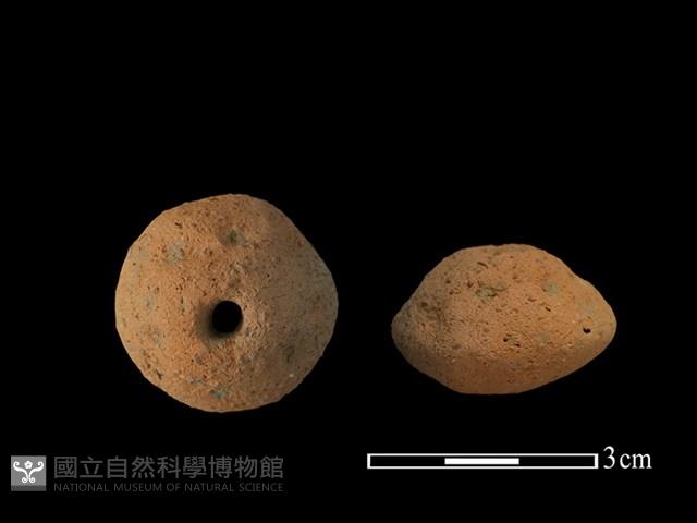 紡輪藏品圖，第1張