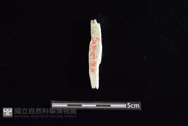 玉料藏品圖，第1張