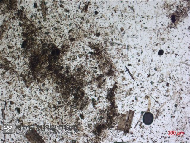 登錄號:A00004602藏品圖，第2張
