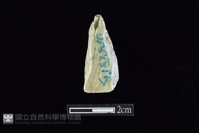 錛鑿形器藏品圖，第2張