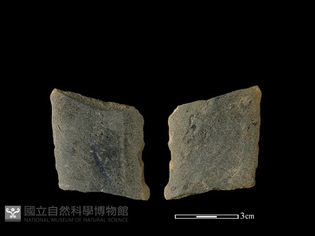 矛鏃形器藏品圖，第1張