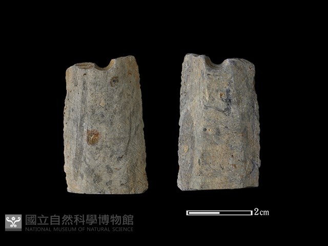 矛鏃形器藏品圖，第1張