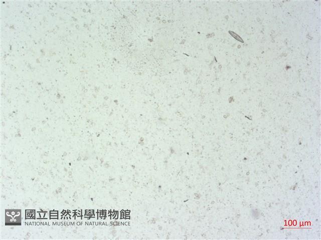 登錄號:A00004502藏品圖，第2張