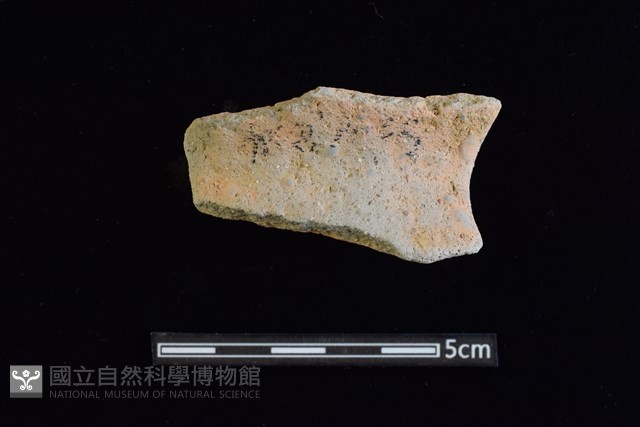 陶罐藏品圖，第1張