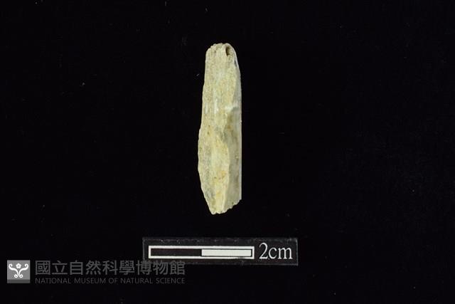 錛鑿形器藏品圖，第2張