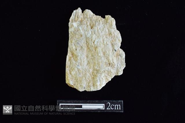 錛鑿形器藏品圖，第2張