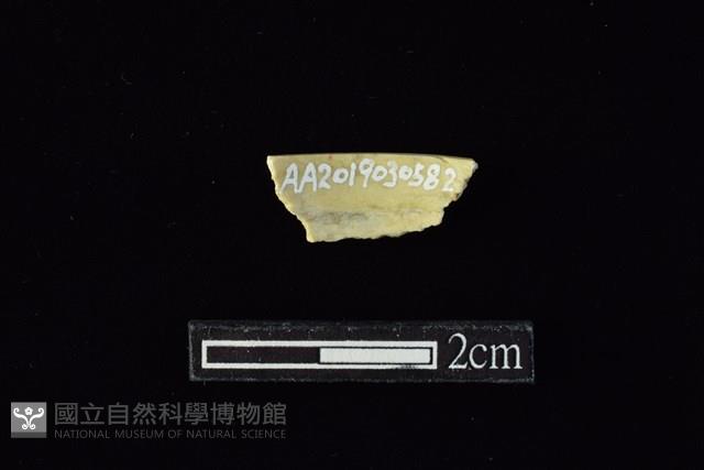玉環藏品圖，第2張