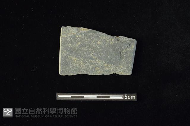 石材藏品圖，第1張