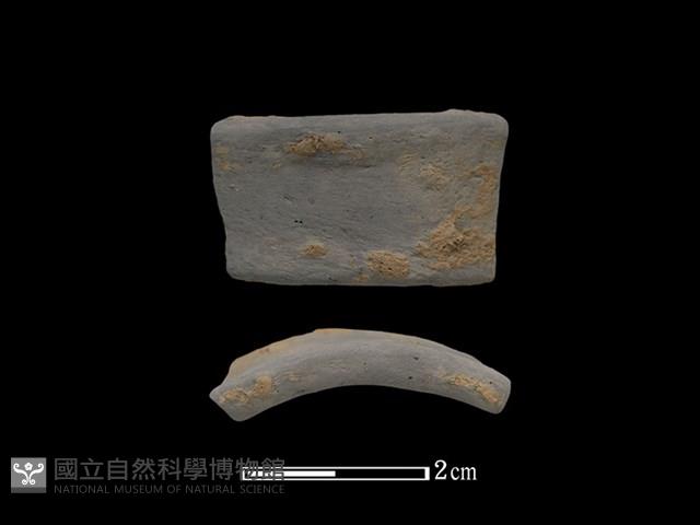 陶環藏品圖，第1張