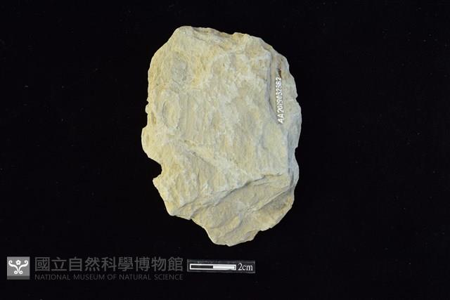 斧鋤形器藏品圖，第2張