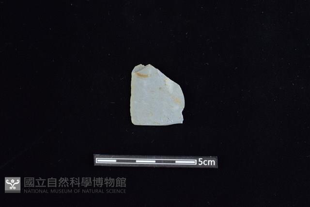 矛鏃形器藏品圖，第1張