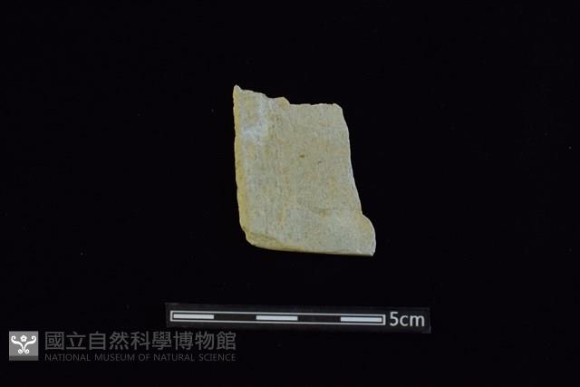 石器殘件藏品圖，第1張