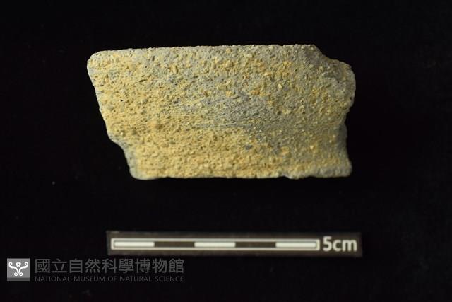 陶罐藏品圖，第1張