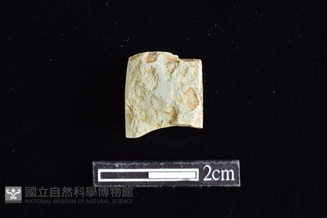 錛鑿形器藏品圖，第1張