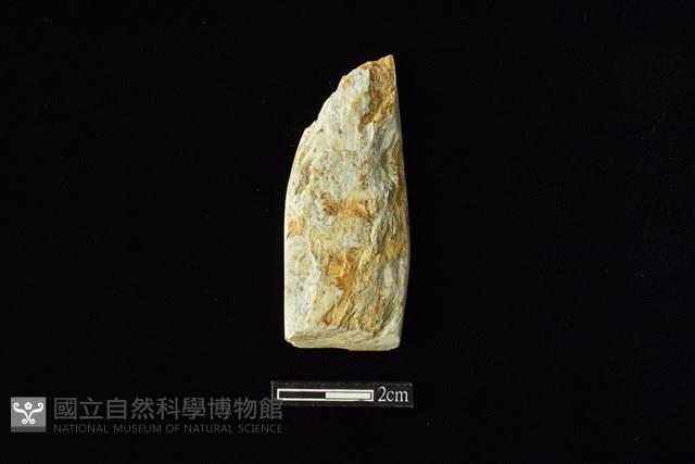 錛鑿形器藏品圖，第1張