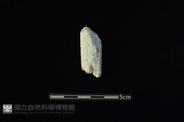 玉料藏品圖，第1張