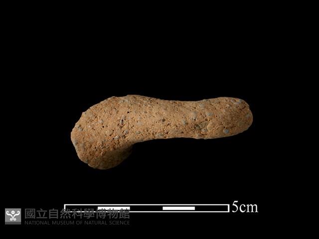 Accession Number:BY-2017-0938 Collection Image, Figure 2, Total 2 Figures