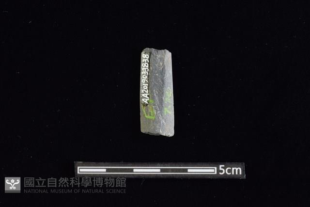 矛鏃形器藏品圖，第2張