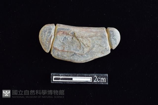 網墜藏品圖，第1張