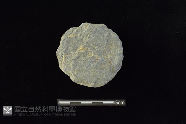 石圓片藏品圖，第1張