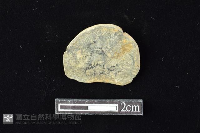 網墜藏品圖，第1張