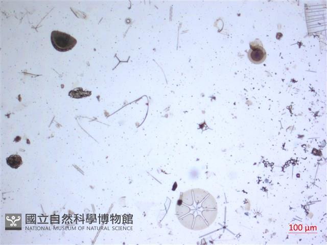 登錄號:A00004658藏品圖，第2張