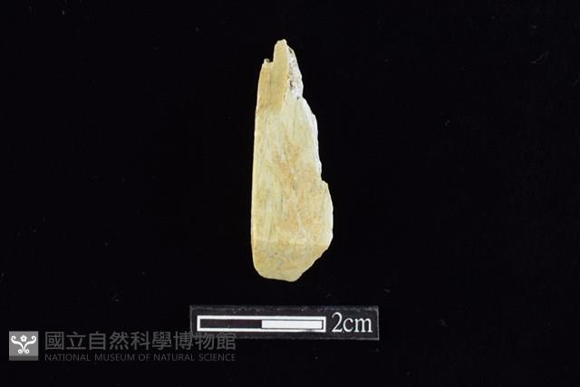 錛鑿形器藏品圖，第1張