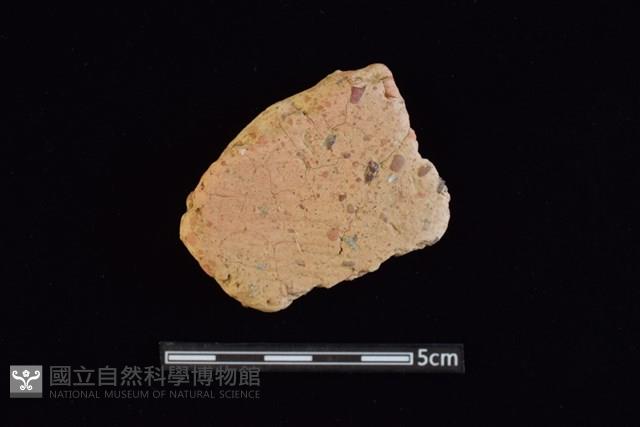 陶片藏品圖，第1張