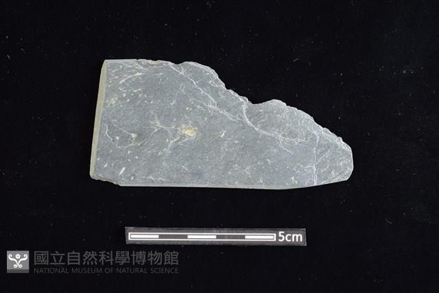 石材藏品圖，第1張