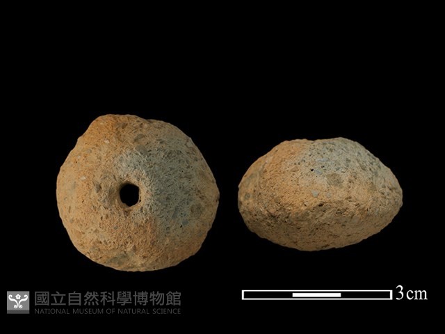 紡輪藏品圖，第1張