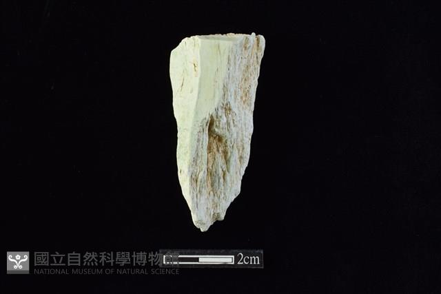 錛鑿形器藏品圖，第1張