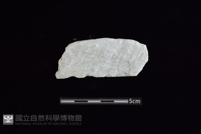 玉料藏品圖，第1張