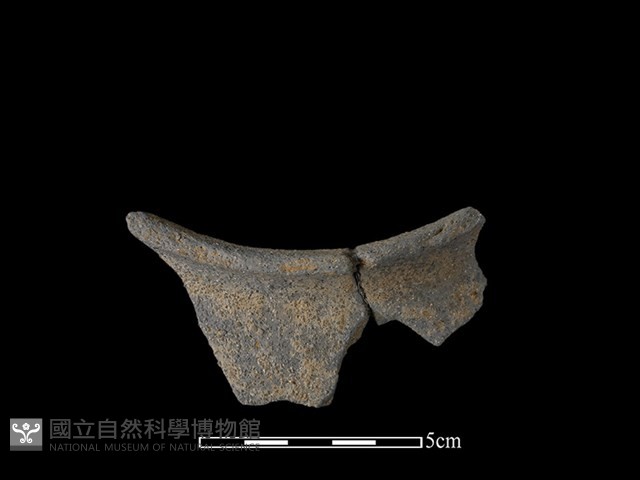 陶罐藏品圖，第1張