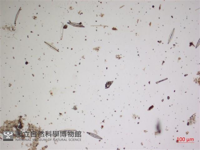 登錄號:A00004628藏品圖，第2張