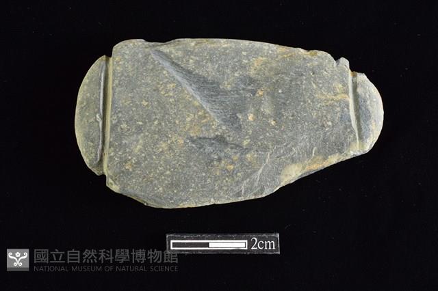 網墜藏品圖，第1張