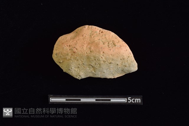 陶罐藏品圖，第1張