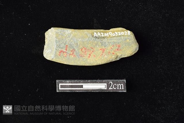 網墜藏品圖，第2張