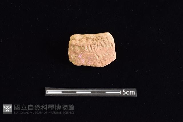 陶罐藏品圖，第1張