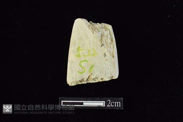 錛鑿形器藏品圖，第2張