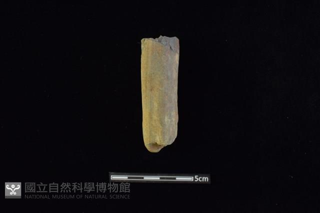 石鎚藏品圖，第1張