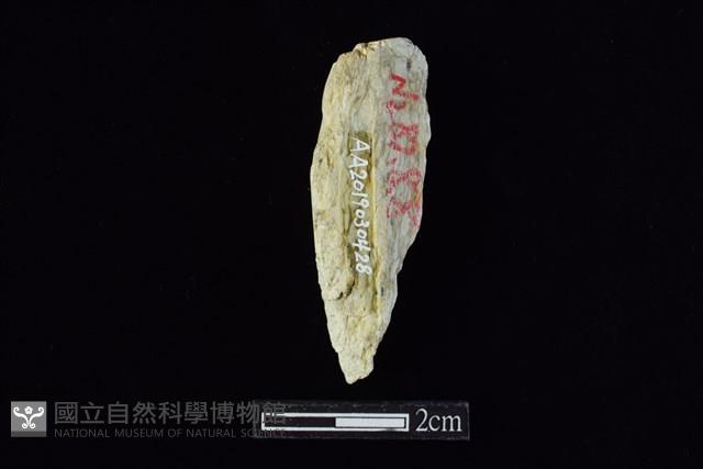 錛鑿形器藏品圖，第1張