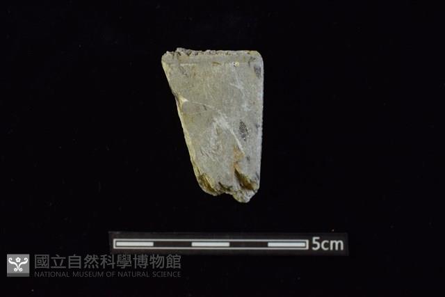 錛鑿形器藏品圖，第1張