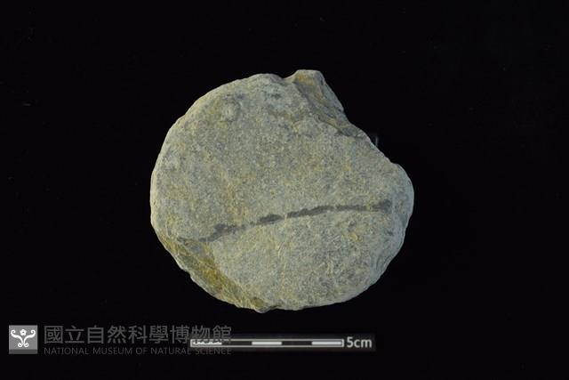 石圓片藏品圖，第1張