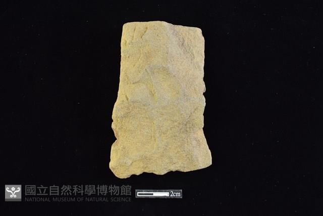 斧鋤形器藏品圖，第1張