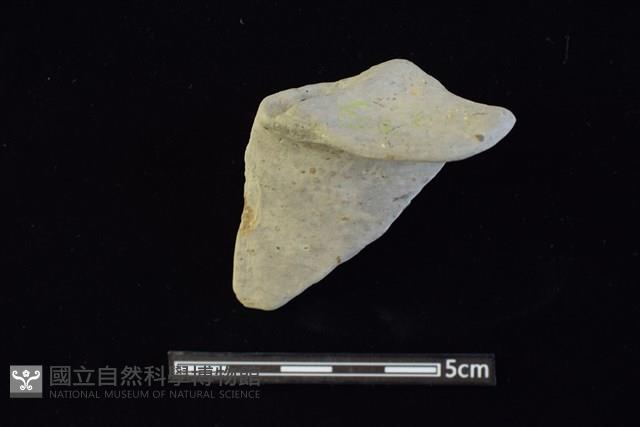 圈足藏品圖，第1張