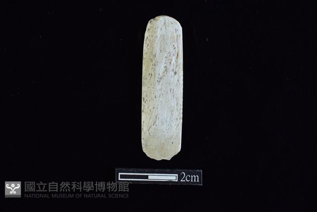 錛鑿形器藏品圖，第1張