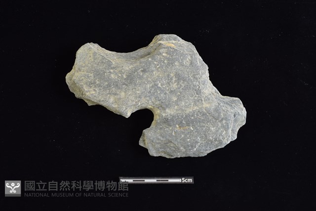 穿孔石板藏品圖，第1張